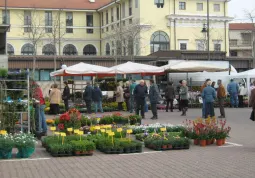 BUSCA EVENTI. Festa del Fiore in Piazza Fratelli Mariano2